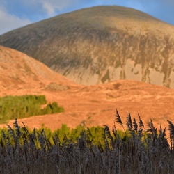 2018-11 Scotland/Skye South/DSC_7288.JPG